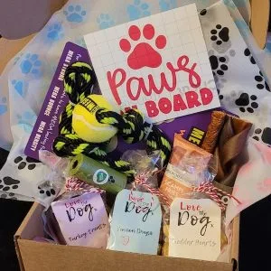 Dandy Snack Club Crazy Pooch Doggy Snack Box